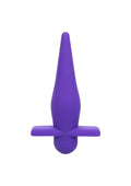 High intensity violet probe