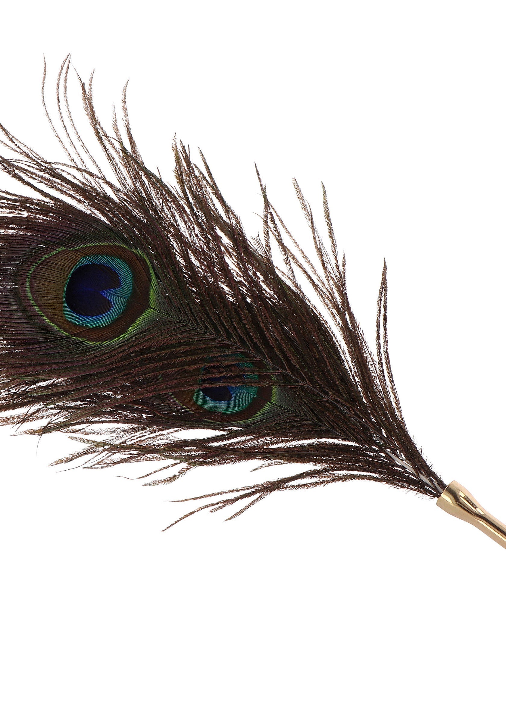 Peacock Tickler gold