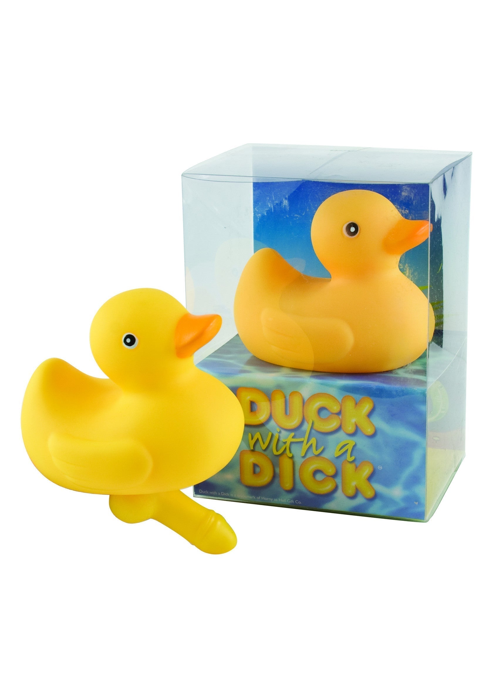 Duck with a yellow cock