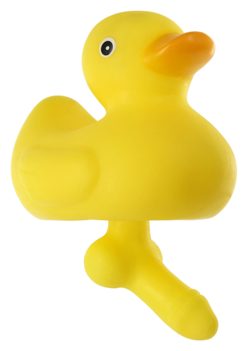 Duck with a yellow cock