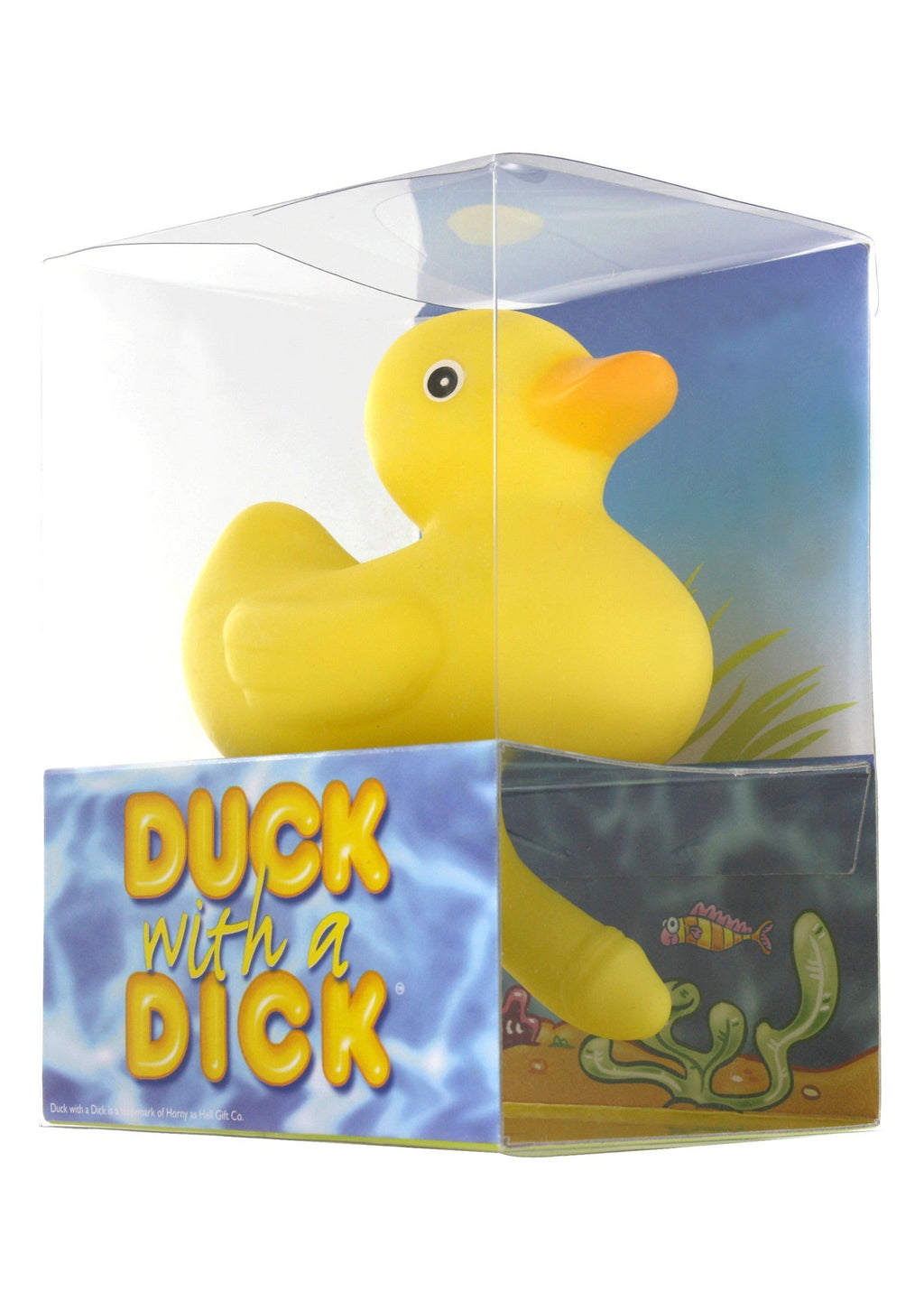 Duck with a yellow cock
