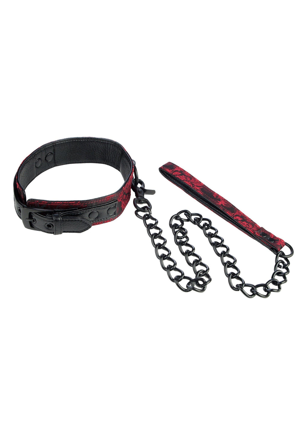 Scandal collar with black leash