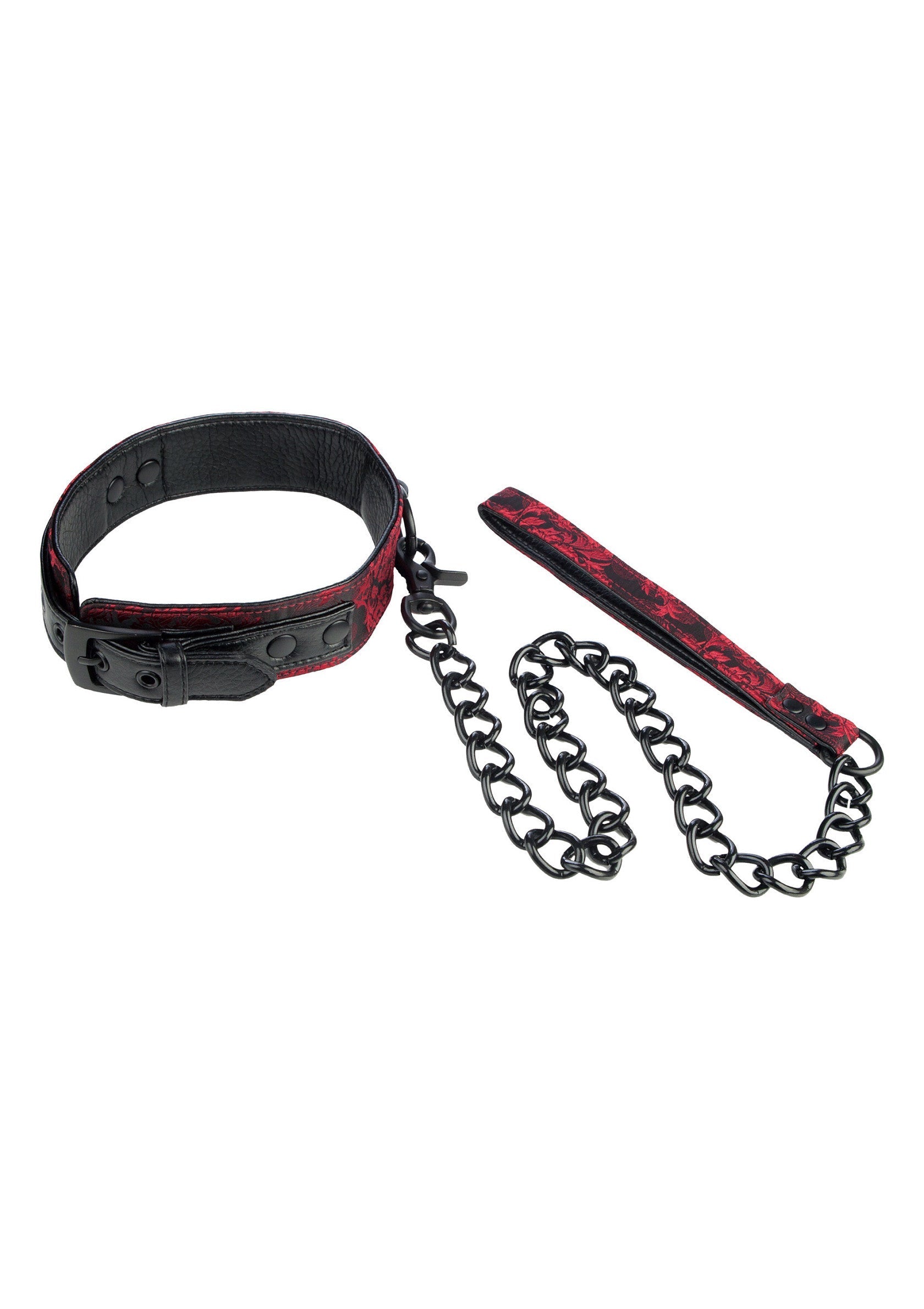 Scandal collar with black leash