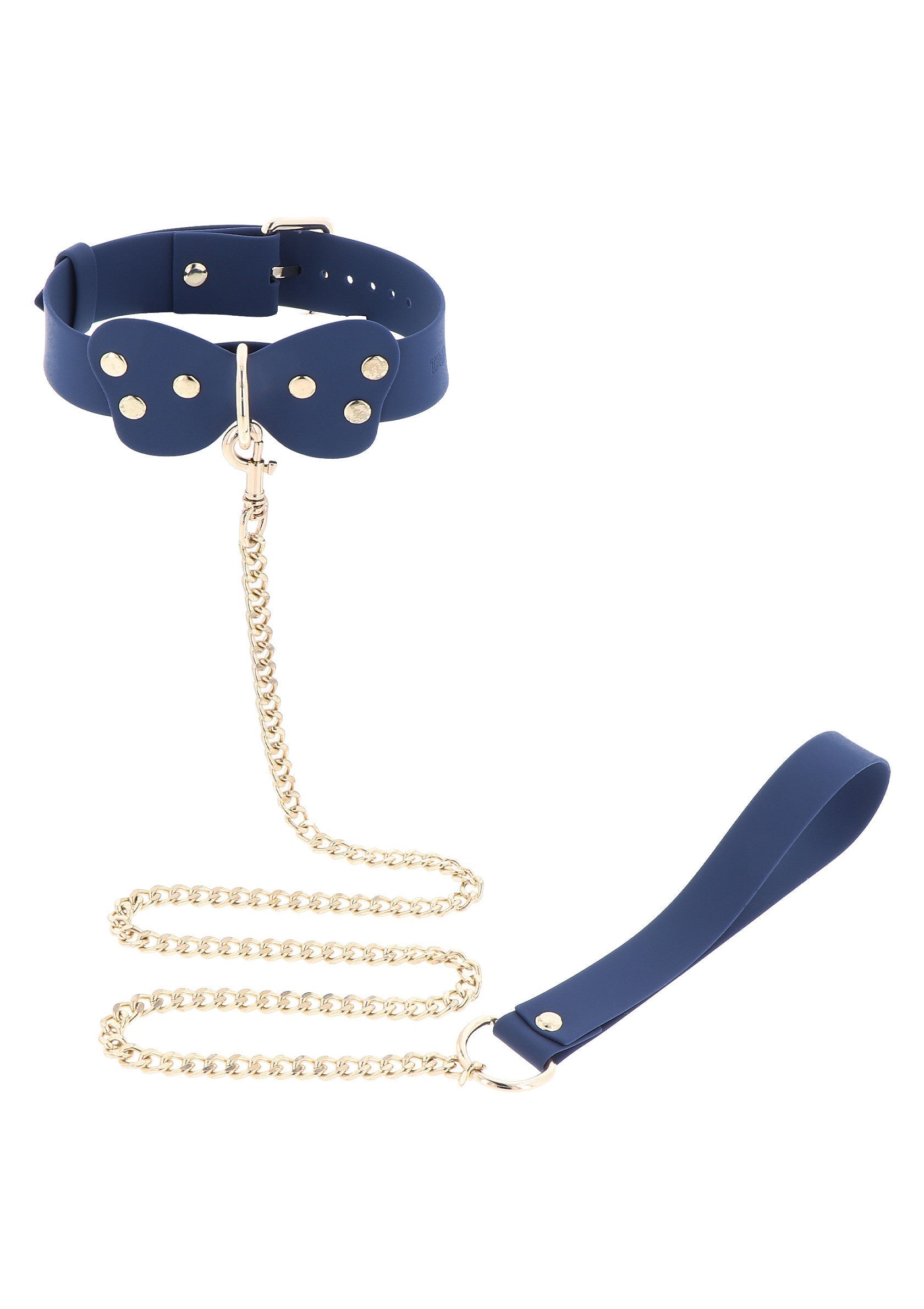 Blue silicone collar and leash
