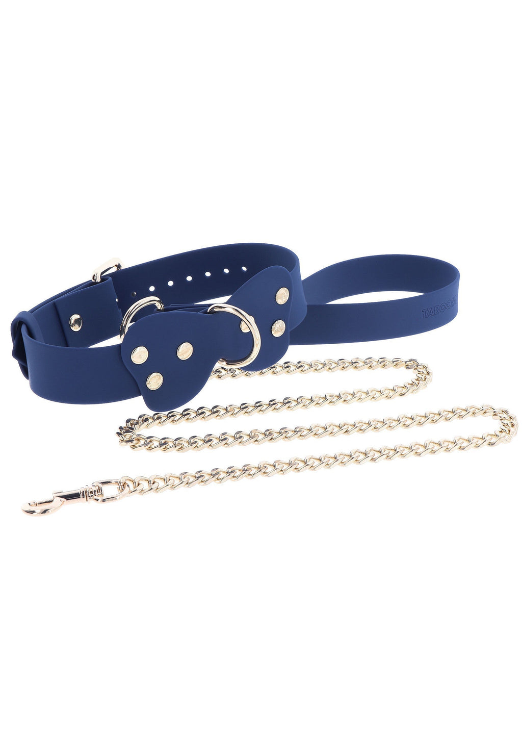 Blue silicone collar and leash