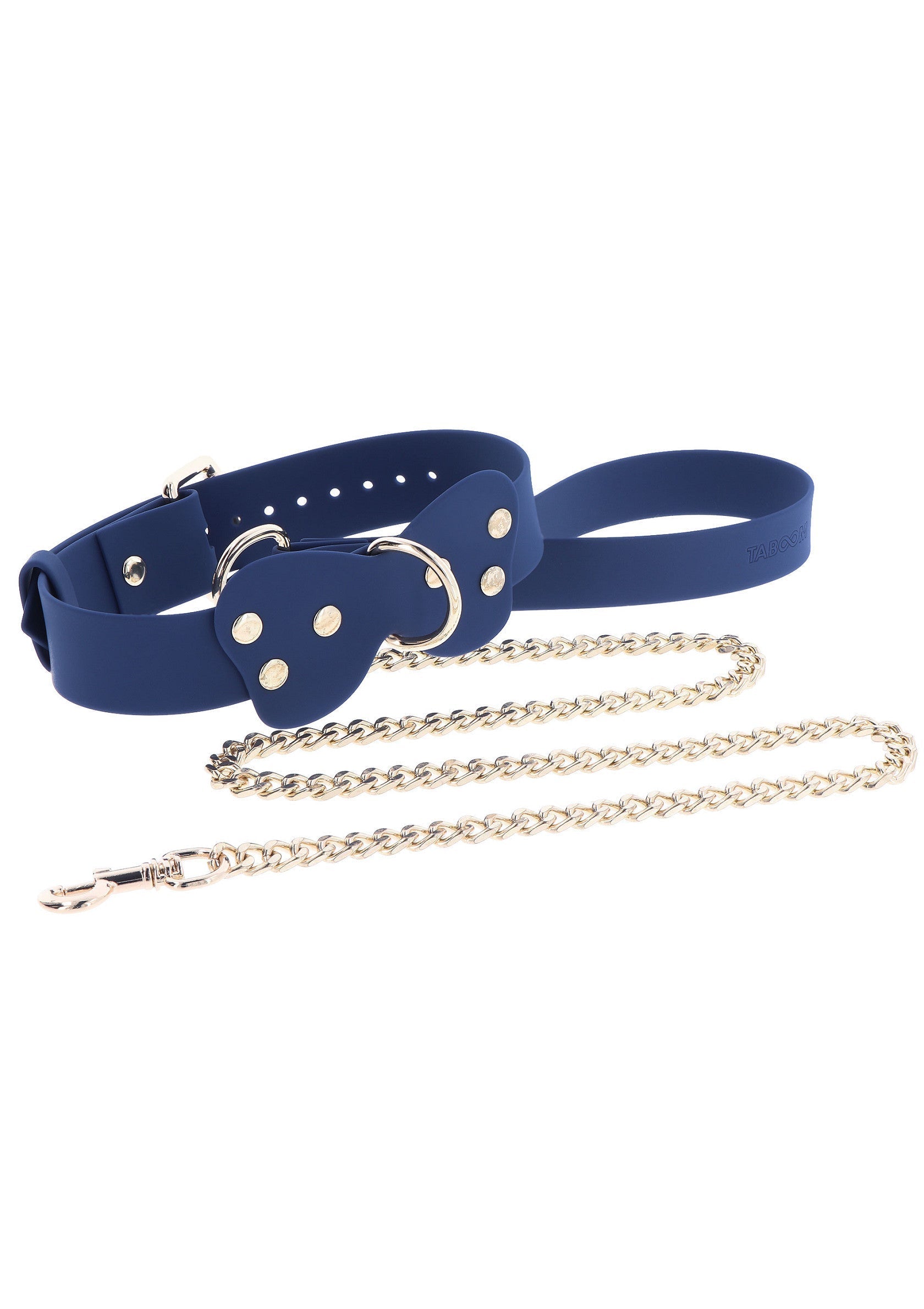 Blue silicone collar and leash