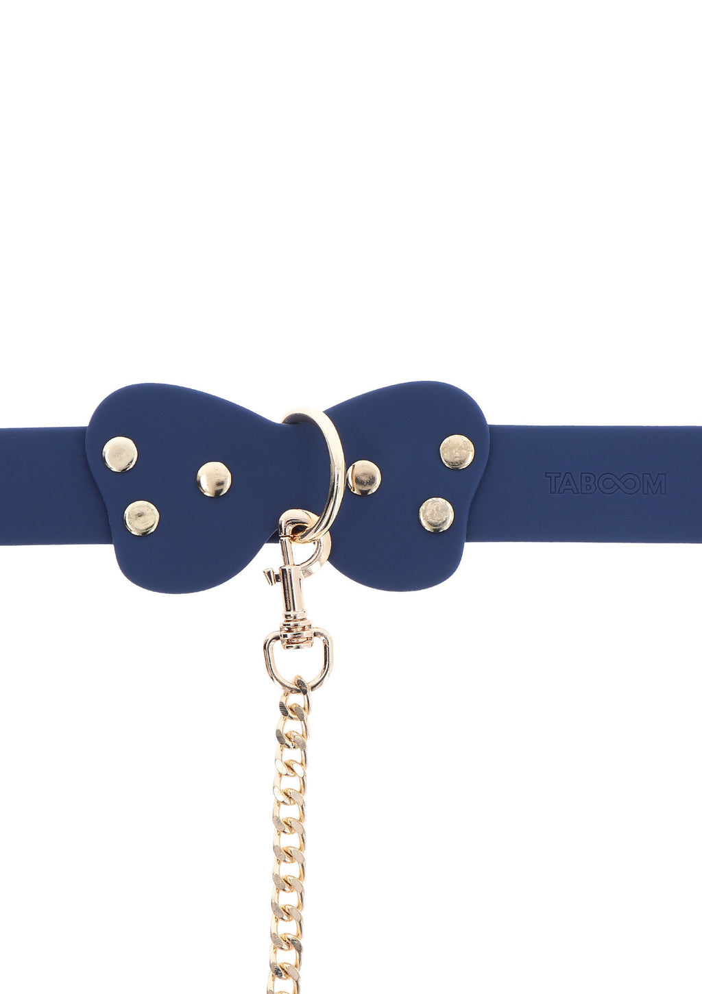 Blue silicone collar and leash