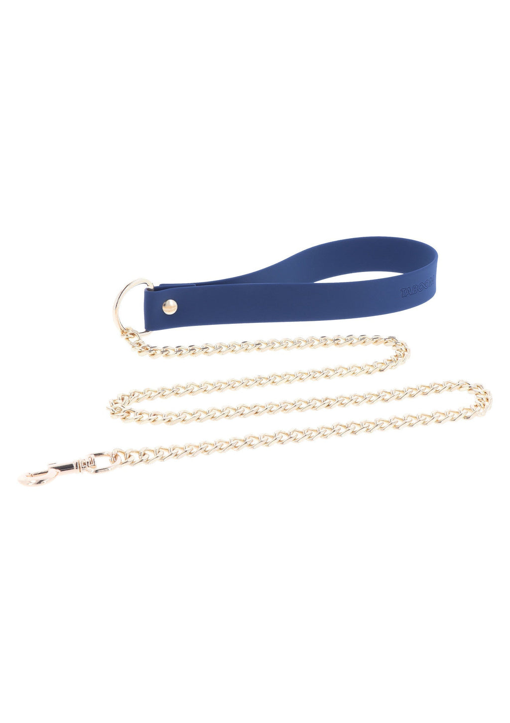Blue silicone collar and leash