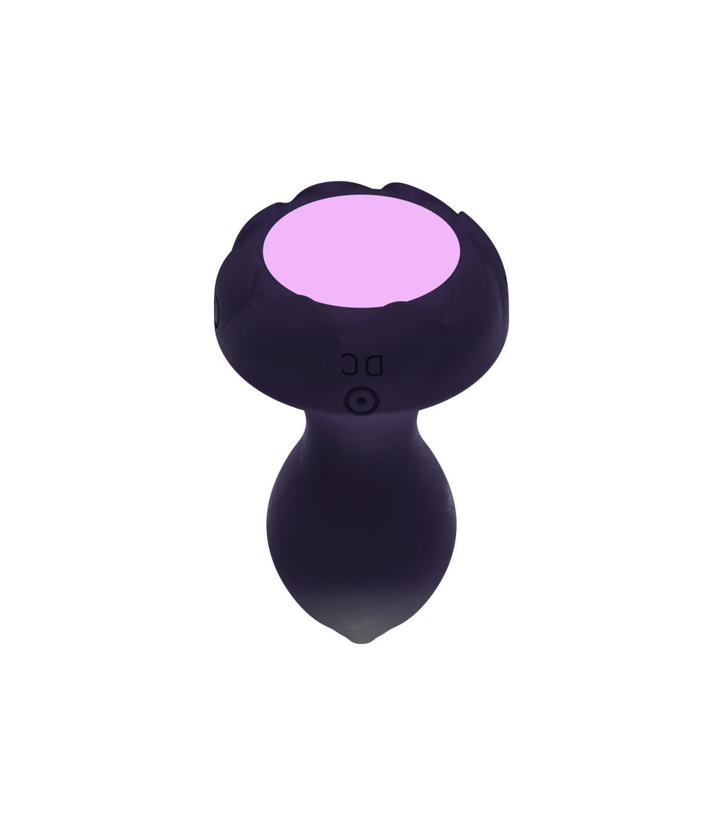 ANY USB ROTATING VIBRATOR BUTT PLUG WITH REMOTE CONTROL